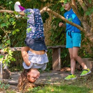 Attività scolastica