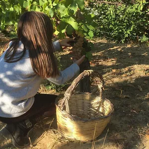 Il contatto con la Natura è quotidiano